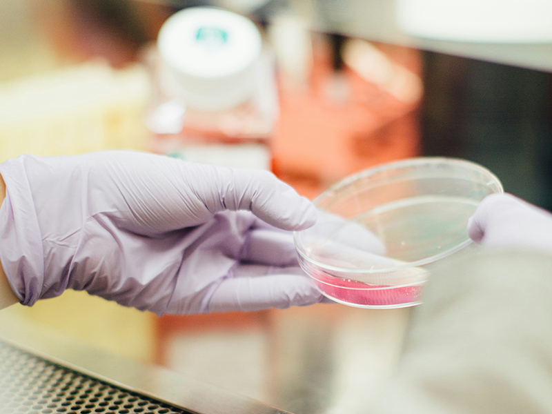 類器官行業(yè)的現(xiàn)在與未來(lái)——高通量成像的核心賦能作用