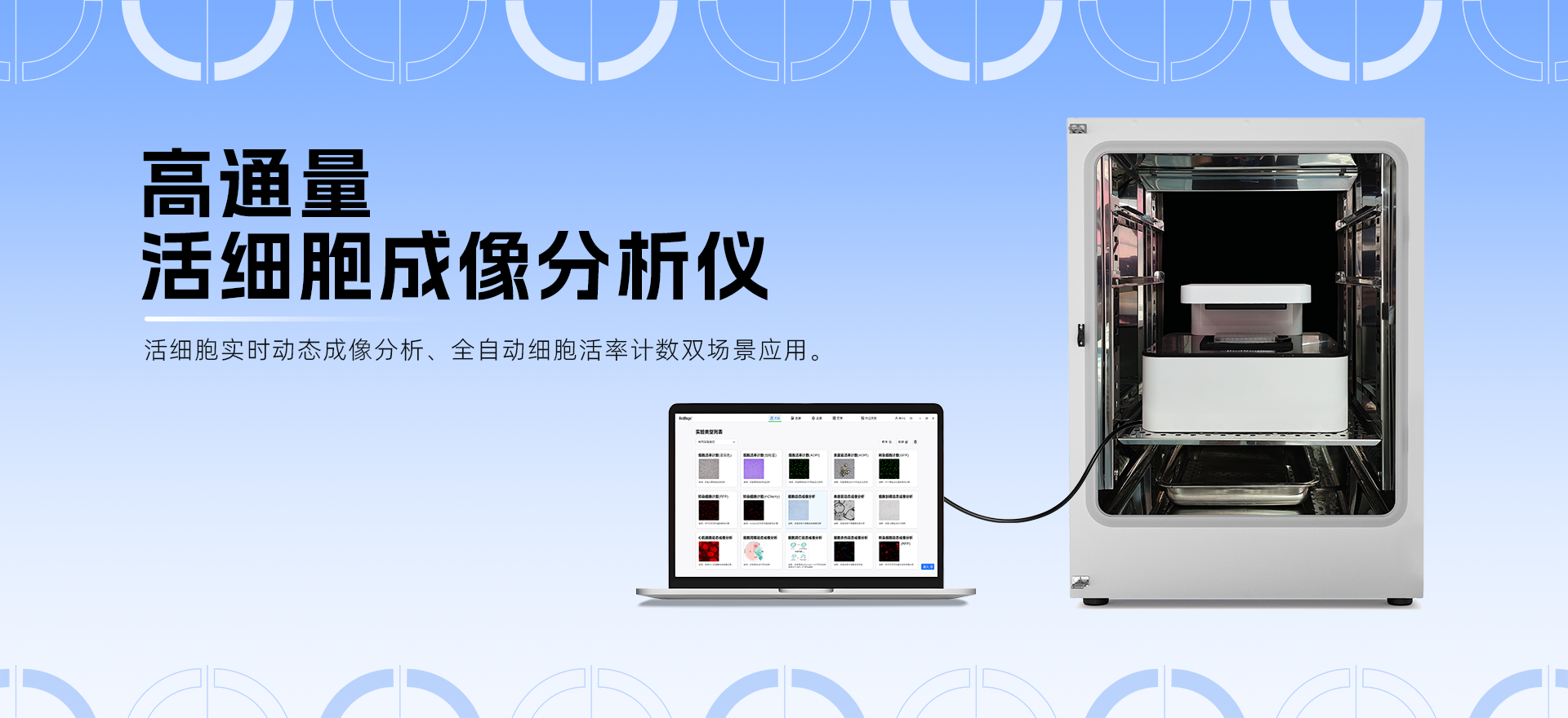 高通量活細胞成像分析儀在細胞毒性研究中的應用